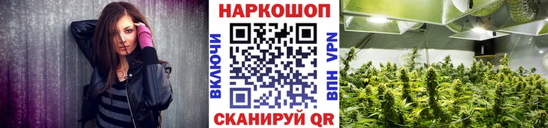 Где можно купить наркотики Владимир Конопля  COCAIN  Псилоцибиновые грибы  ГАШИШ  A PVP 