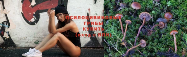 ГАЛЛЮЦИНОГЕННЫЕ ГРИБЫ Абинск