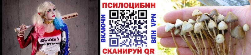 Галлюциногенные грибы прущие грибы  Владимир 