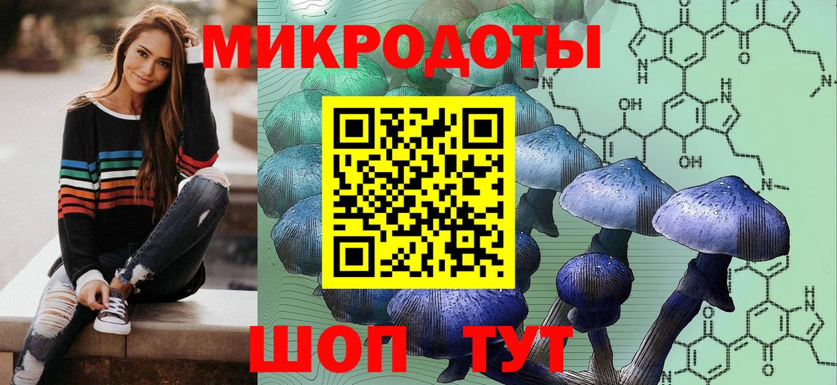 Псилоцибиновые грибы мицелий  Вход с VPN  Владимир 