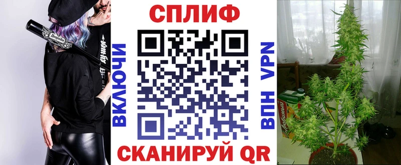 Канабис AK-47 Владимир